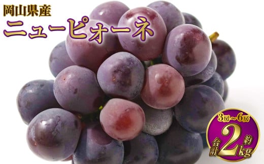 yRދ`zRY j[sI[l 2kgi3[`6[j y2026N6{`7{\z sI[l Ԃǂ  uhE Ȃ