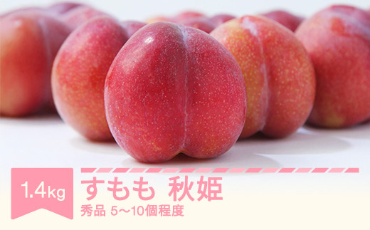 yR`Rszys\z HP ʕ Gi 1.4kg (5~10x)  ߘa8NY 2026NY sb-plahx1400