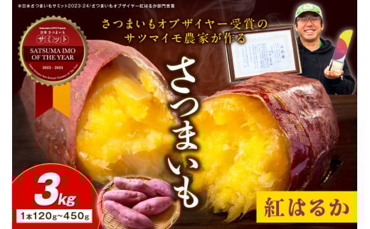 ン 大人気 新品 ノ さつまいもオブザイヤー紅はるか部門全国1位 京都・ 丹後産 根菜・豆類・もやし