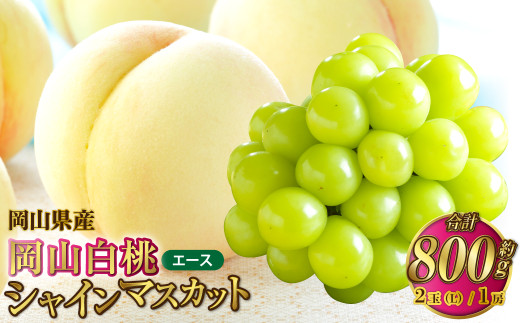 yRދ`zRY R G[X LTCY 200g×2ʁEVC}XJbg  400g×1[ l y2026N7{`8{\z     }XJbg Ԃǂ  u