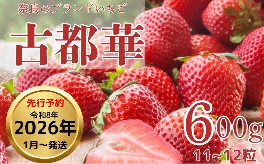 いちご 大粒 約600g 奈良 ことか 2026年1月以降発送 1箱 約11~12粒