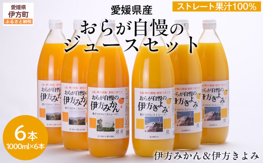 yQɕzys\zyQYz炪̃W[XZbgi1000ml×6{/݂3A3j Xg[gʏ`100 YEFi2026N4菇j y ӂ邳Ɣ[ lC