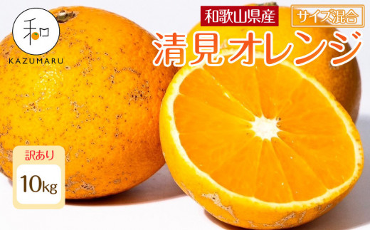 ya̎R쒬z󂠂 X{_̎I IW 10kg a̎RY TCY mkCEEzsnmRN49nm2026N2{5{\n