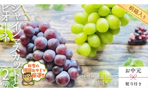 y錧΂݂炢szy  l t zy ˔ z VC}XJbgƃsI[l ie1[jy2026N8蔭Jnzi錧ʕԗi [Ԃǂ]FsYj  VC