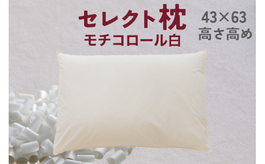 yt䑷qszZNg `R[ W^Cv  i43×63cmj