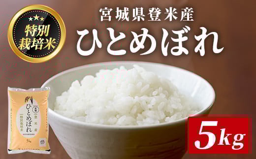 y{錧oĎsz{錧oĎsY⁃ߘa7NYEVā ʍ͔| ЂƂ߂ڂ 5kg(5kg×1)      R   ͂ ɂ ٓ uhāy݂€oĔ_Ƌ