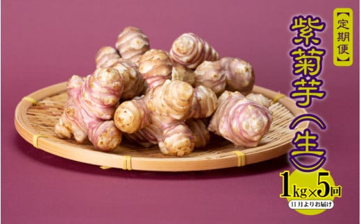 yW쒬z[s\zyցzeij1kg×5@11肨͂