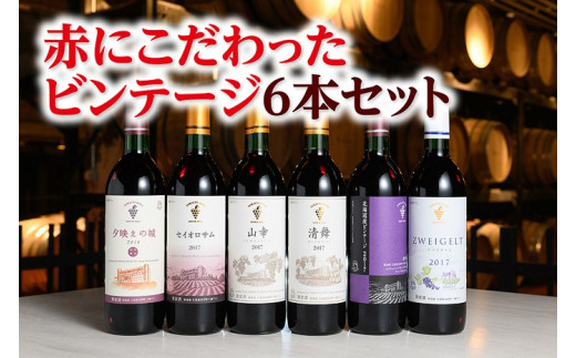 十勝ワイン 赤にこだわったビンテージ6本 北海道ワイン 国産ワイン