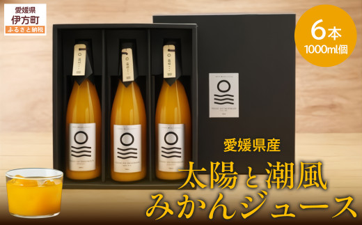 みかん 楽天市場】みかん せとか ◯等級 4L〜Lサイズ 5kg 愛媛県産 JA