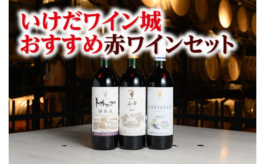 十勝ワイン いけだワイン城おすすめ赤ワインセット3本 山幸