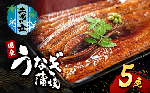 2026先行予約【7月発送】 国産うなぎ蒲焼 5尾 (1.2kg～1.25kg) 国産