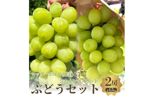 みや　2点セット 行列のできる有名店【らーめんこれこれ】 どれどれ（濃厚みそ