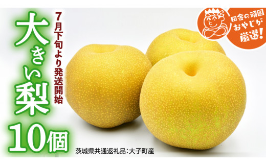 y錧΂݂炢sz傫  10y2026N7{蔭Jnzi錧ʕԗi []FqYjcɂ̊ł₶II