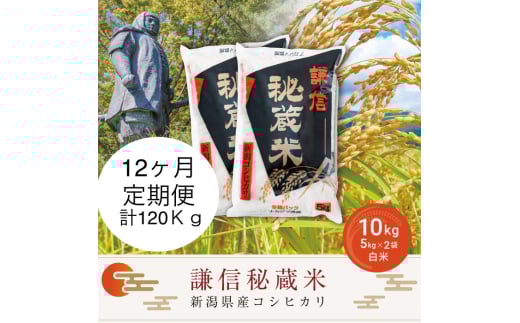 yVzszys\b10{菇oׁz12Ai10kg×12񕪁j 10kg M鑠   VY RVqJ      R   Ђ V