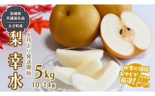 y錧΂݂炢sz K 5kg 10`14y2026N8蔭Jnzi錧ʕԗi []FqYjcɂ̊ł₶II  K x Mtg Â XC[c fU[g t