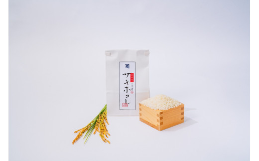 yHcszy󏭕izyʍ͔|āzHcYTLzR  10kg y()ؖܘYXz[N32-2301]