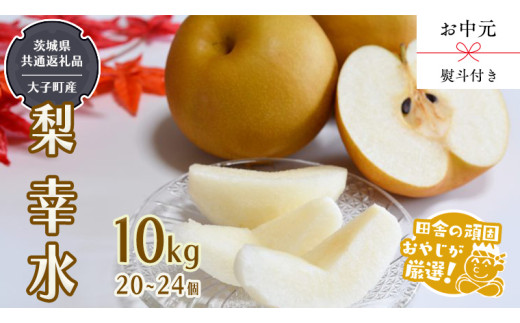 y錧΂݂炢szy  lt zK10kg i20`24j y2026N8蔭Jnz i錧ʕԗi []FqYj  K t[c ʕ {