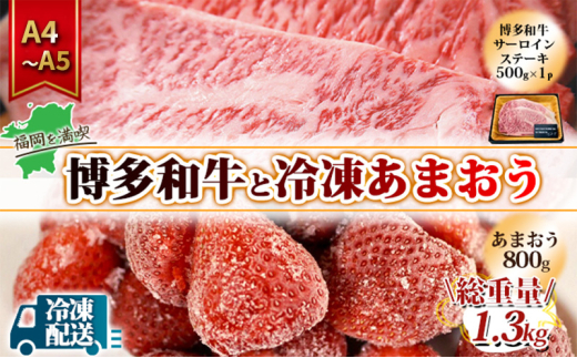 y品zA KiO a T[CXe[L 500g A4`A5Ⓚ܂ 800g Zbg v1.3kg 󂠂 zsF