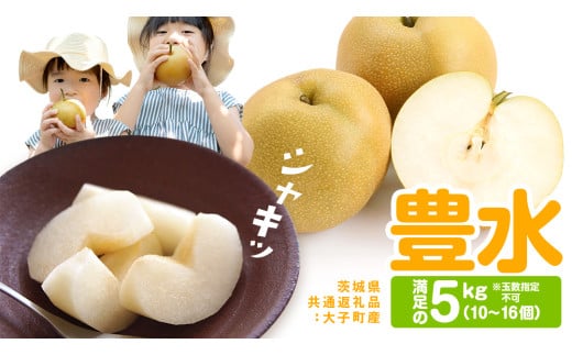 y錧΂݂炢sz L 5kgi10`16jy2026N9蔭Jnzi錧ʕԗi []FqYjcɂ̊ł₶II Ȃ L ʕ  t[c { x