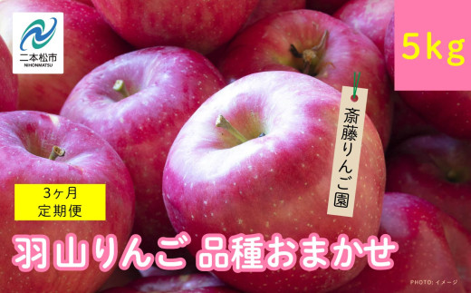 3ヶ月定期便】品種おまかせ！羽山のりんご5kg×3回 りんご リンゴ 果物