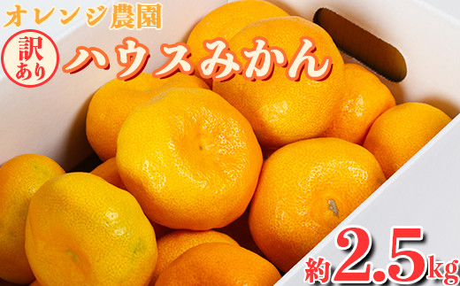 天草産 無農薬 露地枇杷 約2.6kg 天草産 無農薬 露地枇杷 約