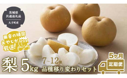 y錧΂݂炢szyցz 5kgi7`12jiڂςZbgy2025N85AŔzi錧ʕԗi []FqYj  Ȃ iV ʕ t[c 錧Y