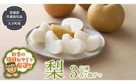 y錧΂݂炢sz 3i e7y8蔭Jnzi錧ʕԗi []FqYjcɂ̊ł₶II Ȃ iV ʕ t[c 錧Y