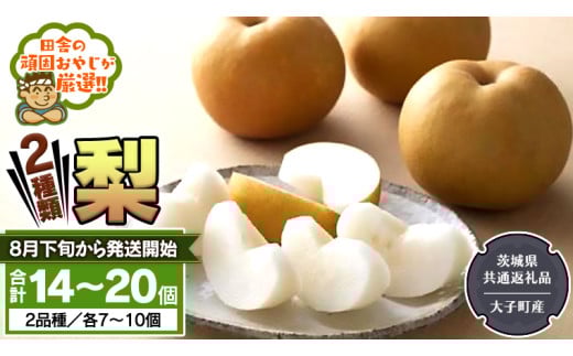 y錧΂݂炢sz 2 Zbg y2026N8{甭Jnzi錧ʕԗi []FqYj cɂ̊ł₶II Ȃ V a t[c ʕ  x M