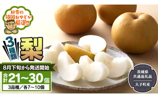 y錧΂݂炢sz 3 Zbg y2026N8{甭Jnzi錧ʕԗi []FqYj cɂ̊ł₶II Ȃ V a t[c ʕ  x M