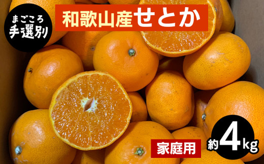 ya̎Rlzy܂Iʁza̎RY@Ƃ@4kg ƒp 2026N2{`4{菇\