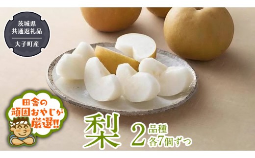 y錧΂݂炢sz 2i e7y2025N8蔭Jnzi錧ʕԗi []FqYjcɂ̊ł₶II  Ȃ iV ʕ t[c 錧Y