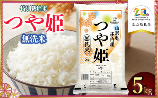 ふるさと納税 庄内町 　令和6年産米　つや姫無洗米　5kg ふるさと納税＜10月下旬発送＞ 庄内米 6か月定期便