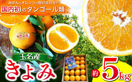 きよみ 熊本玉名産 5kg 水本オレンジガーデン | 果物 くだもの 柑橘