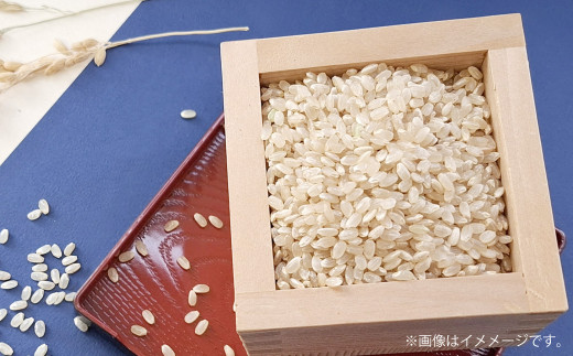 いちご岐阜県特別栽培玄米20キロ いちご様専用岐阜県特別栽培玄米20キロ