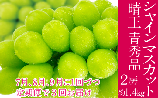 �y���R���ʖ�s�z2026�N�\���t���y3�����ցz �V���C���}�X�J�b�g ���� 7��8��9����1��Âo��  2�[ 1.4kg �l�C ���R���Y �햳�� �炲�ƐH�ׂ� �݂��݂�����  �t���b�V�� ����̍� �������