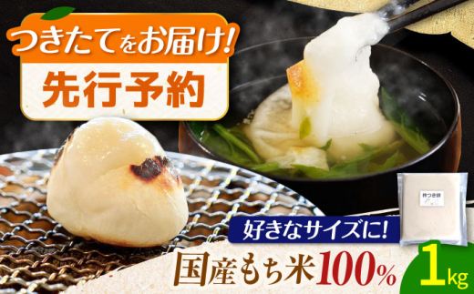 y򕌌䐓zy12{蔭z ݂ ̂ 5i1kgj/  ̂/䐓/ЃAIL [AVBN002]