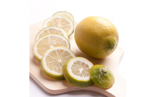 ya̎R쒬z5kg+250giݕ⏞jya̎RLcYzyh܁EWAXsgpAS̍YzmIKE129n