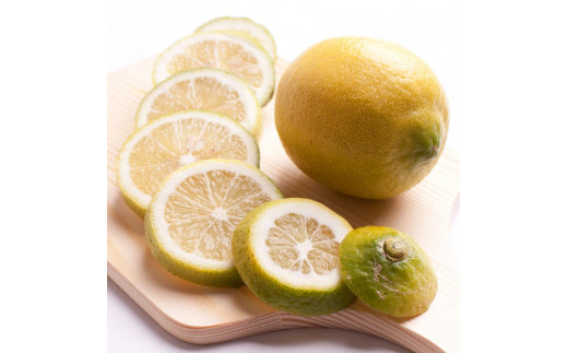 ya̎Ra̎Rsz5kg+250giݕ⏞jya̎RLcYzyh܁EWAXsgpAS̍YzmIKE129n