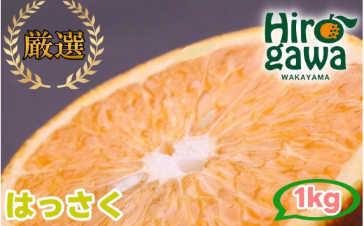 ya̎RL쒬z͂ 1kg+250giɂݕ⏞j I ZT[ /   Â a̎R Lc k 1{?4{ɏ\ kCEEւ̔zs yikd021-p-1z