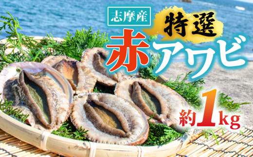 ふるさと納税 三重県 志摩市 受け継がれるこだわりの逸品 アコヤ真珠の数珠　／　あこや ネックレス 真珠 伊勢志摩 珠数 志摩 アクセサリー ギフト パール 母… 志摩ひじき4袋セット | 三重県志摩市 | ふるさと納税サイト「さとふる」
