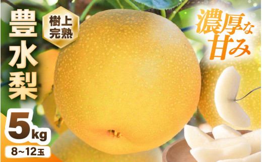 あ 無農薬コシヒカリ玄米20kg(2.5kg×8)令和3年 徳島県産 先行予約/数量限定】完熟マンゴー 2L×2玉（パック） 希少 宮崎