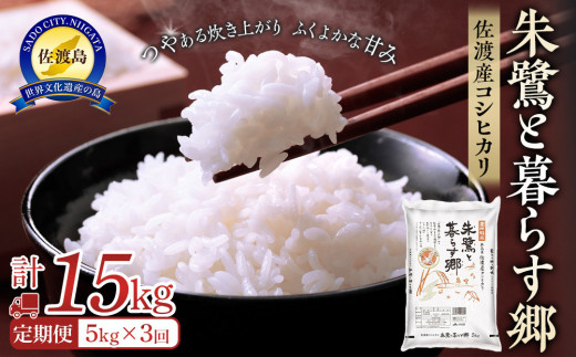米 定期便 朱鷺と暮らす郷 佐渡産コシヒカリ ( 5kg × 全3回 ) 【令和7