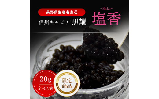 y쌧azs MBLrA  -Enka- 20g i 20g r@jΐ LrAXv[t ϔ 쌧 ⓀLrA LrA LrA  20g Xv[t MB