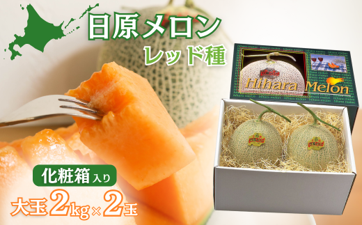 ykCIRzys\zʁuibhjvi2.0kg×2ʁjJ[ϔ@YF010