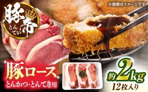 yF{Rszؒ [XƂ񂩂EƂĂp Jbg 2kgi1170?180g×12jyKRAZY MEAT(c{Y)z [ZCP147]