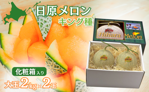 ykCIRzys\zʁuiLOjvi2.0kg×2ʁjJ[ϔ@YF009