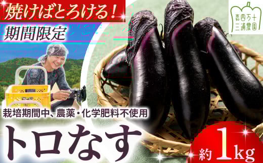 期間限定】 焼いてトロける！三浦農園のトロなす1kg 栽培期間中農薬