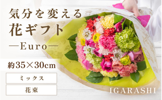 y䌧szCςԃMtg-Euro-(ԑE~bNX) [aw062-c003_02]