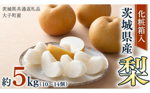 y錧΂݂炢szyϔz 5kgi10?14jy2025N8蔭Jnzi錧ʕԗi []FqYj Ȃ iV ʕ t[c 錧Y