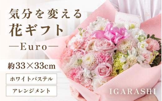 y䌧szCςԃMtg Euro(AWgEzCgpXe) [aw062-c003_07]